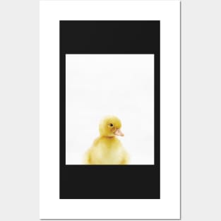 Baby Duck, Nursery, Animal, Kids room, Modern art, Wall decor Posters and Art